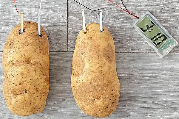 potatoe-clock-kit