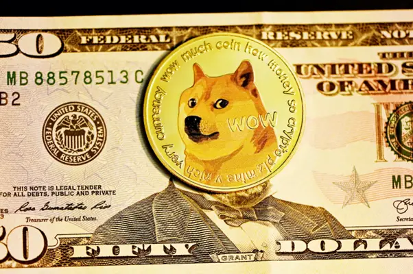 dog dollar bill